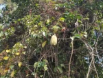 IMG_20260401_161708
