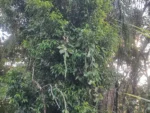 IMG_20260404_173611