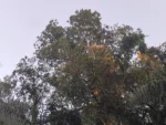 IMG_20260419_174028