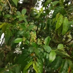 IMG_20251209_153102