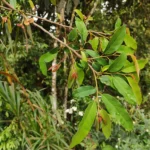 IMG_20251113_095605