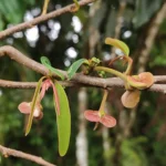 IMG_20251113_095624