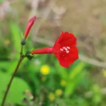 IMG_20251113_101802