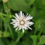 IMG_20251113_102337