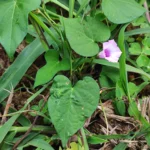 IMG_20251113_102534