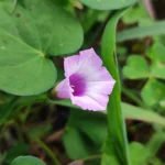 IMG_20251113_102541