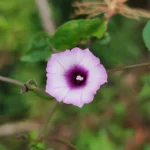 IMG_20251113_102808