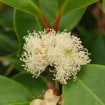 IMG_20251108_160347