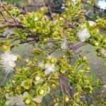 IMG_20220723_172049