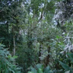 DSC02658