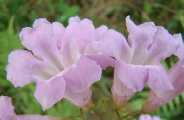 DSC04969