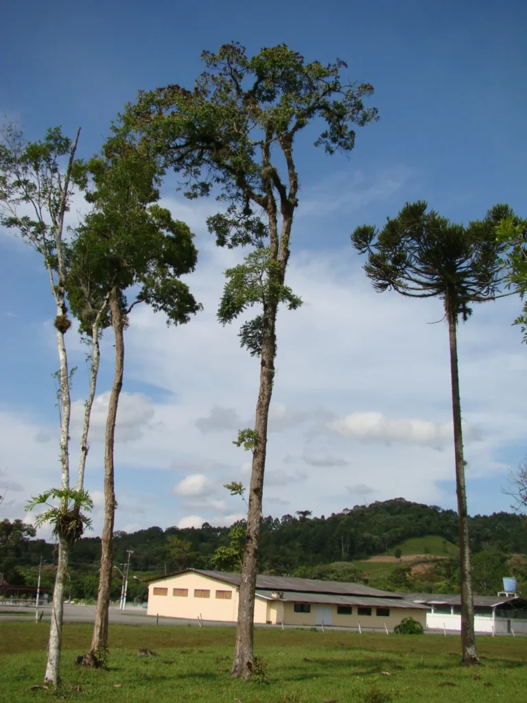 DSC00113