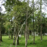 DSC00059