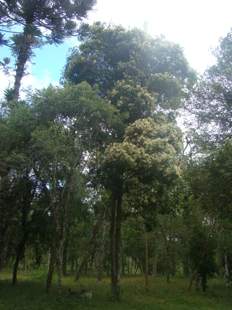 DSC05799