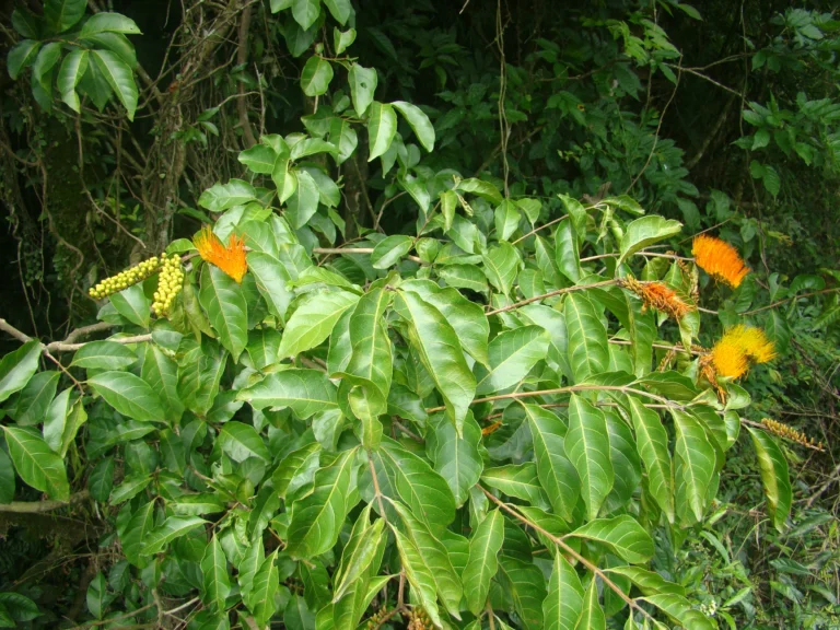 DSC04479