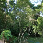 DSC05868