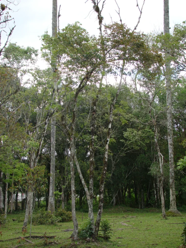 DSC03613