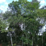 DSC06925