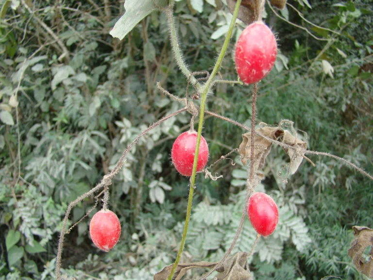 DSC06400