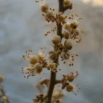 DSC02200