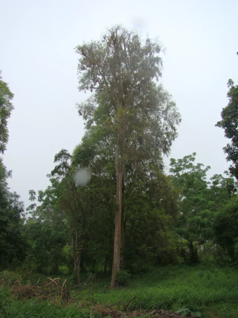 DSC04392