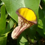 DSC03171