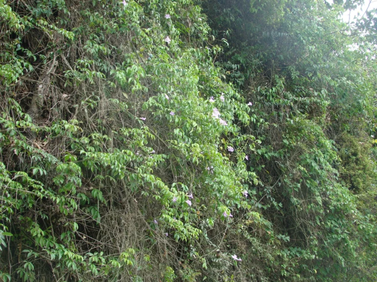 DSC02939