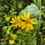 IMG_20251021_112833