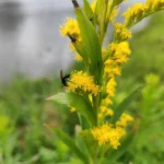 IMG_20251021_104425