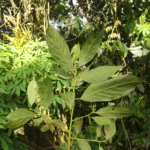 IMG_20251019_084357