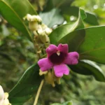 IMG_20250416_102428