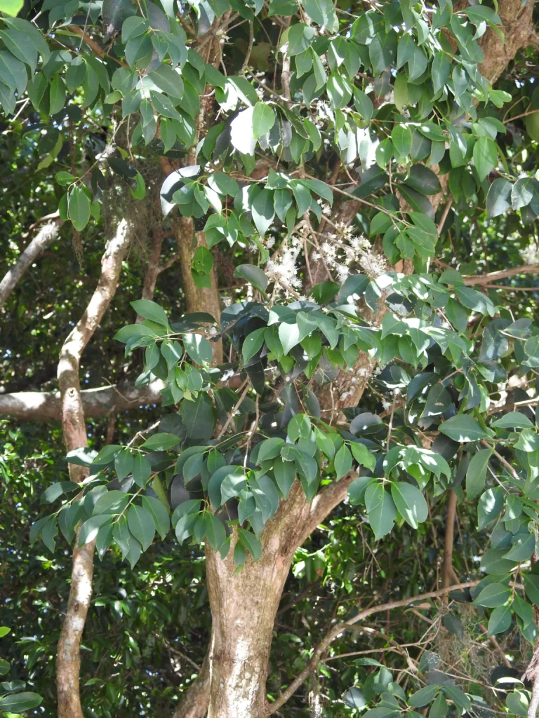 DSCN3027