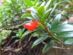 IMG-20220901-WA0022.jpg