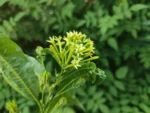 IMG_20260328_100859