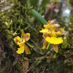 IMG_20251128_103841
