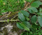 DSC03718