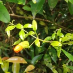 IMG_20251128_095047