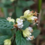 IMG_20251128_100431