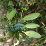 IMG_20251128_104637