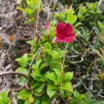 IMG_20251128_092443