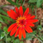 IMG_20251116_162905