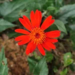 IMG_20251116_163018