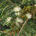 IMG_20251113_180416