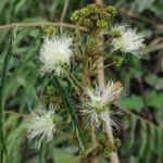 IMG_20251113_180825