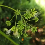 IMG_20251114_120758