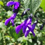 IMG_20251112_103013