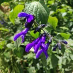 IMG_20251112_103154