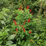 IMG_20251110_080909