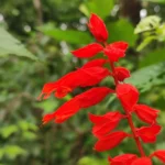 IMG_20251110_081036