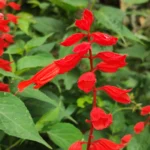 IMG_20251110_081049